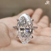 Oval Cut Hidden Halo Ring
